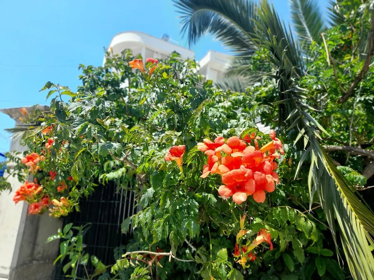 Apartment Vila Marjana Sarande