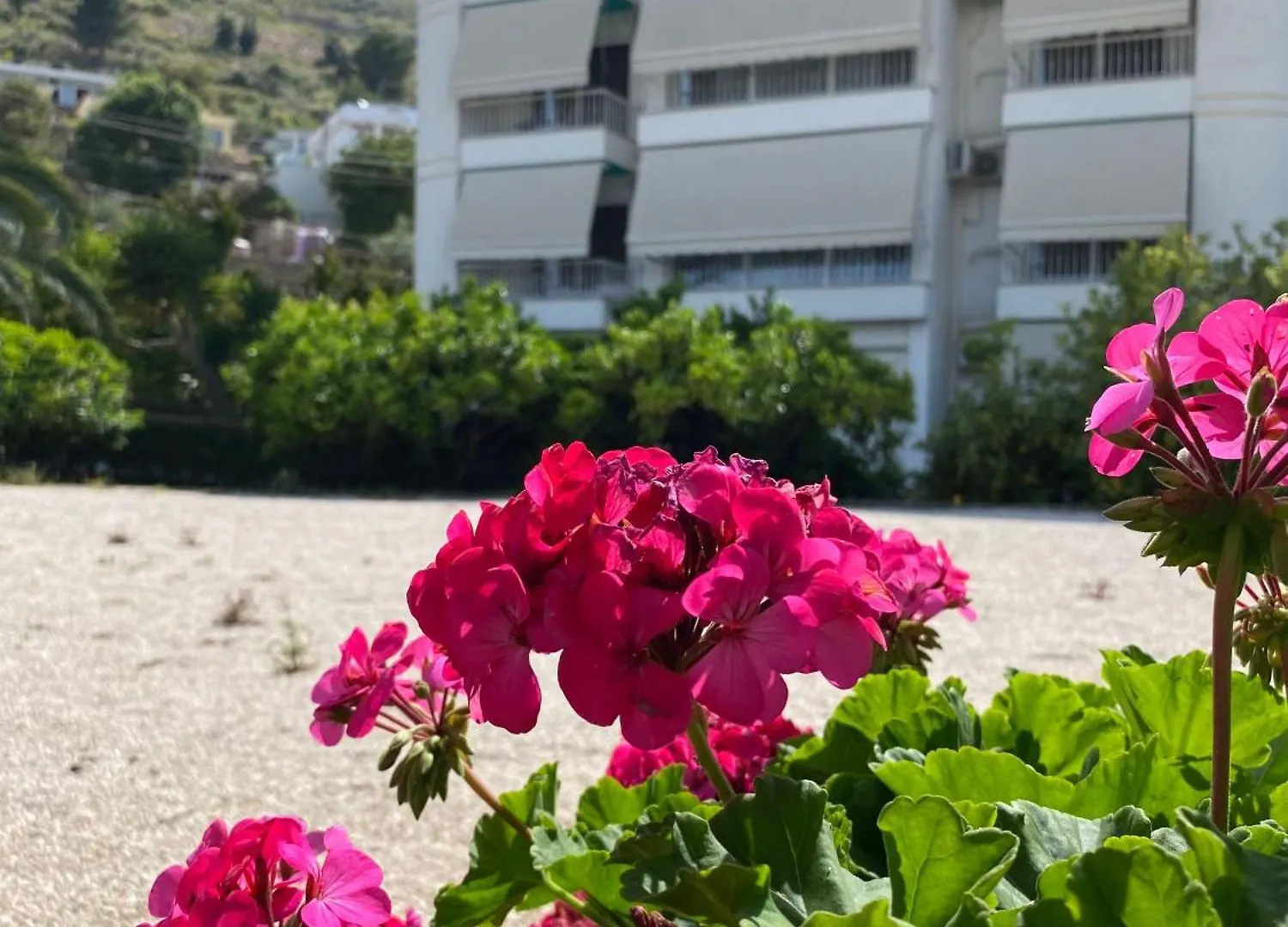 Vila Marjana Sarande 0*,  Albania